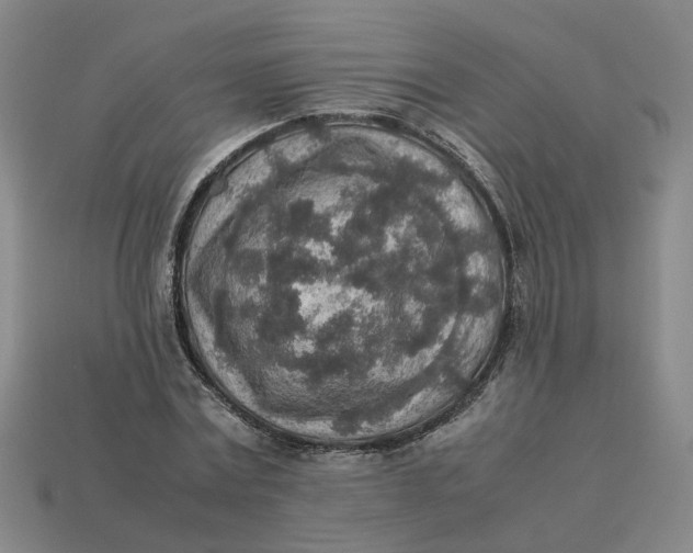 X0000113310779200910051103