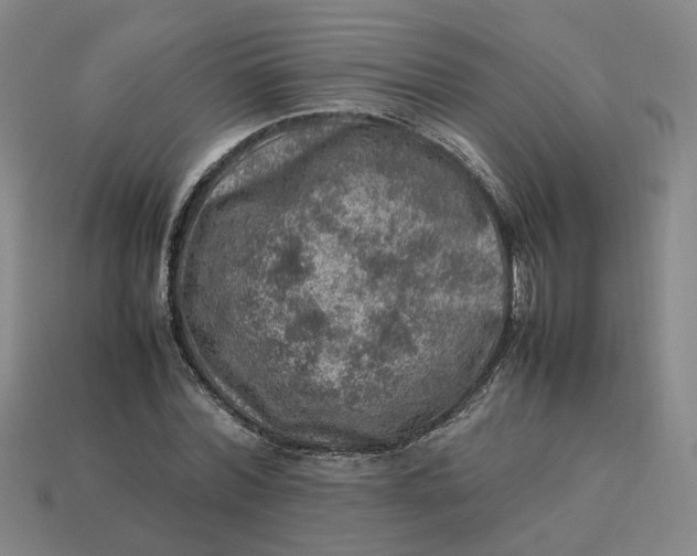 X0000113310780200910051103