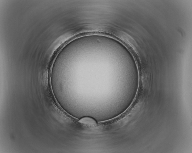 X0000113310781200910051103