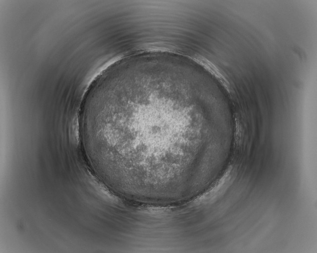 X0000113310782200910051103