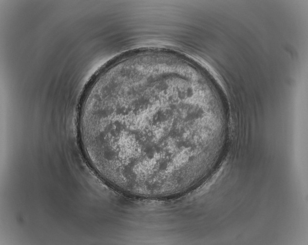 X0000113310783200910051103