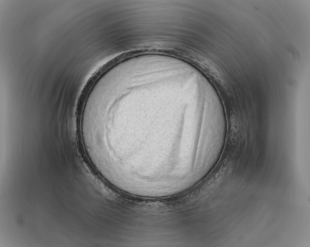 X0000113310784200910051103