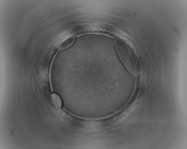 X0000113310785200910051103