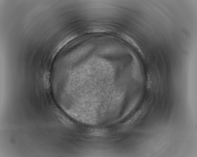 X0000113310786200910051103