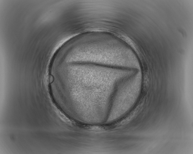 X0000113310787200910051103