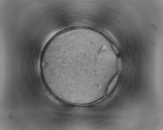 X0000113310788200910051103