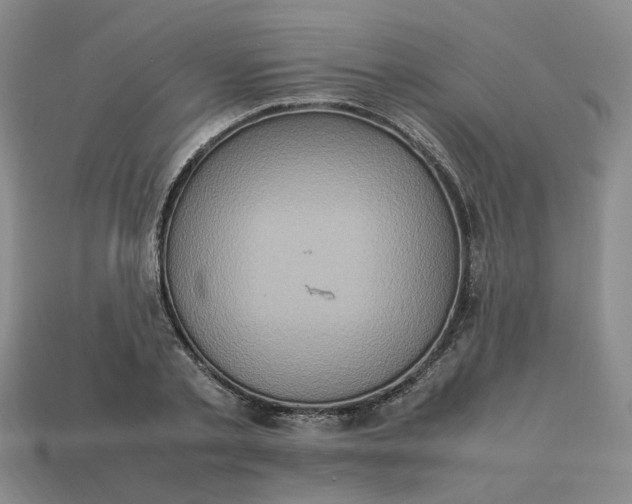 X0000113310789200910051103