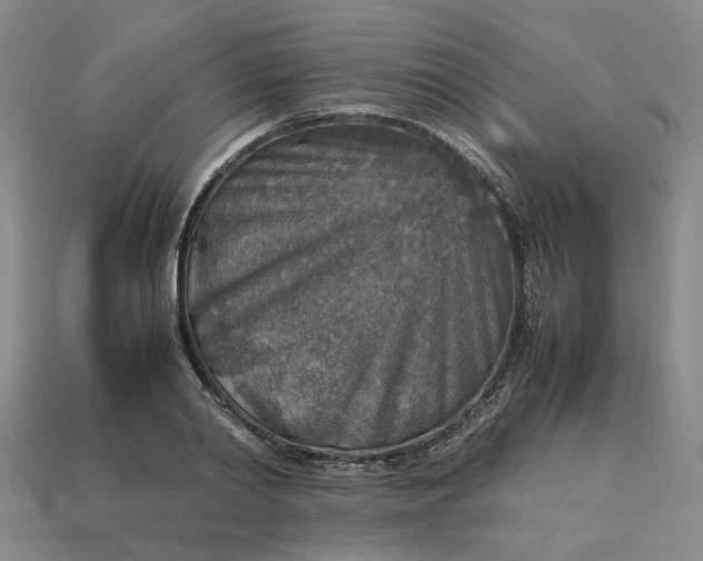 X0000113310790200910051103