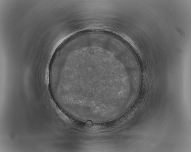 X0000113310791200910051103