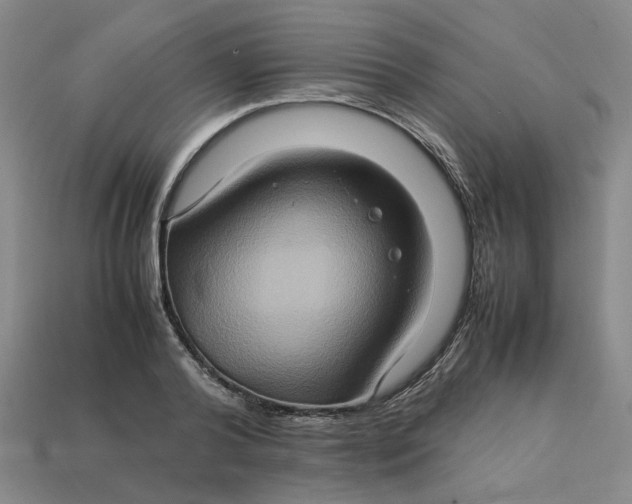 X0000113310792200910051103