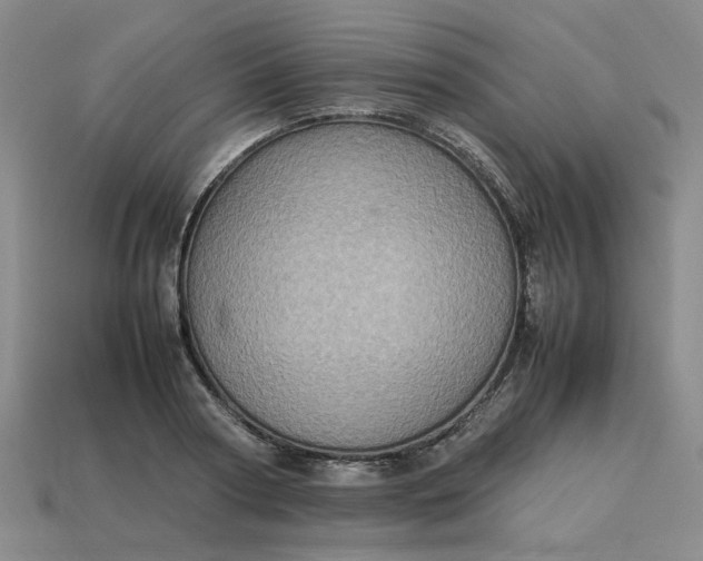 X0000113310794200910051103