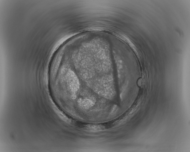 X0000113310795200910051103