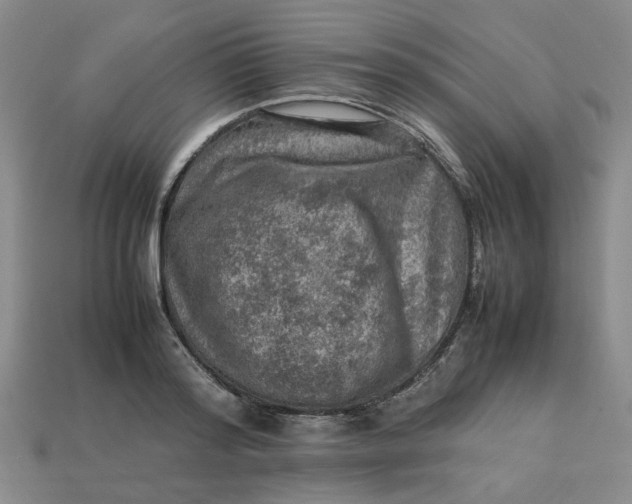 X0000113310796200910051103