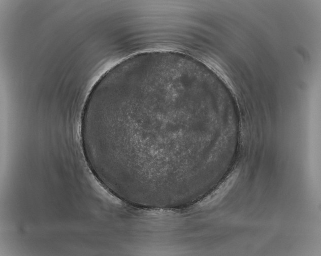 X0000113310797200910051103