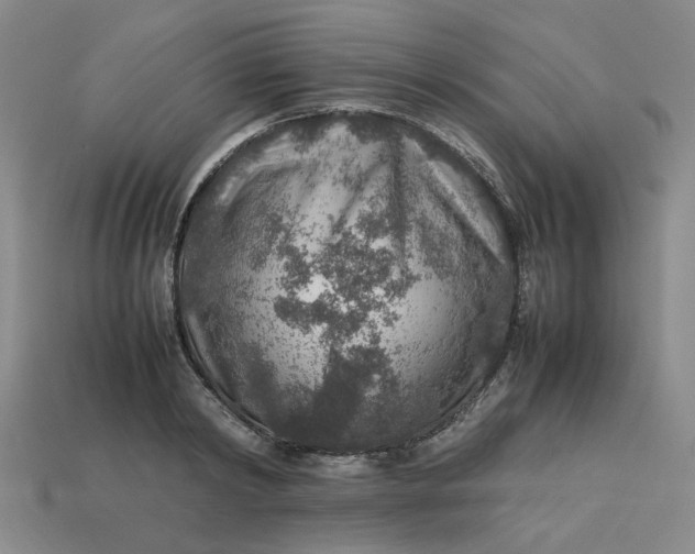 X0000113310798200910051103