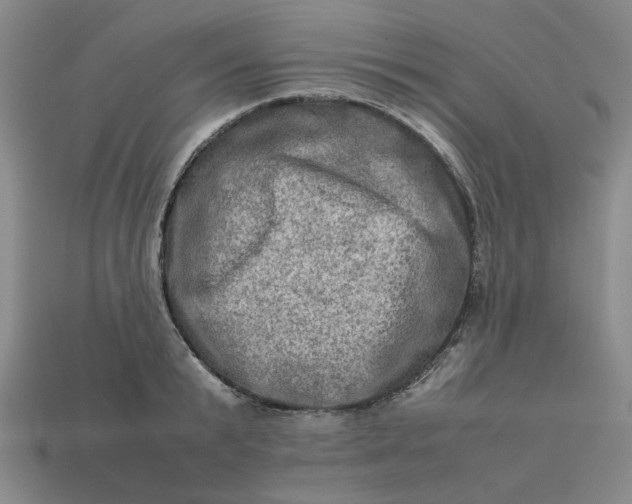 X0000113310799200910051103