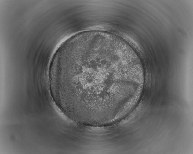 X0000113310800200910051103