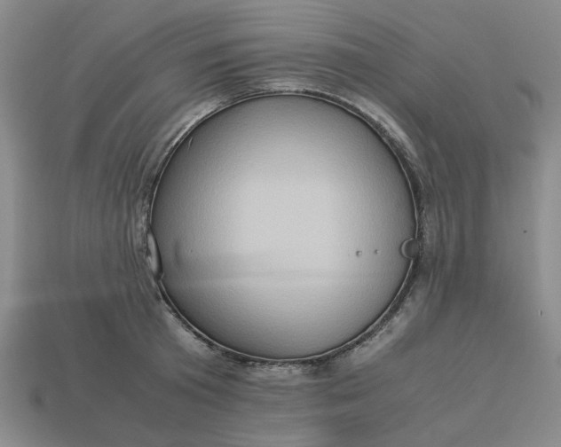 X0000113310801200910051103