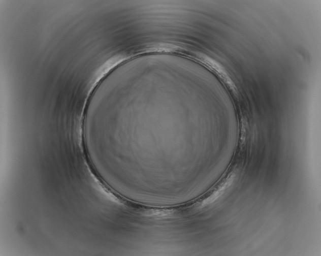 X0000113310802200910051103