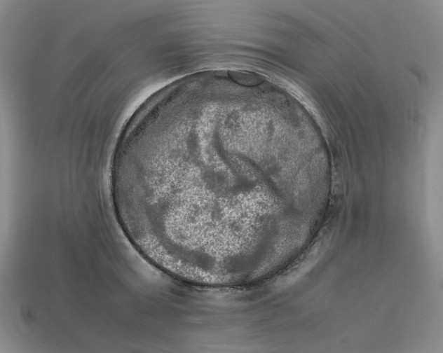 X0000113310803200910051103