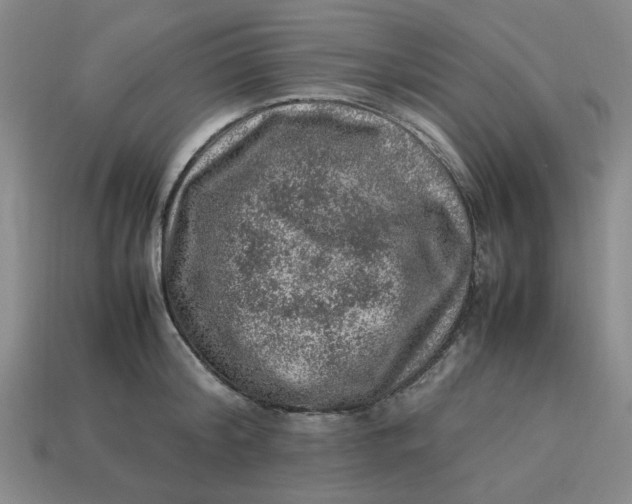 X0000113310804200910051103