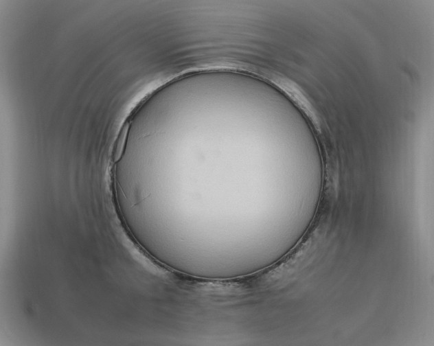 X0000113310805200910051103