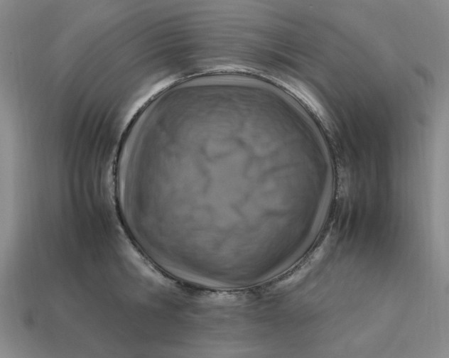 X0000113310806200910051103