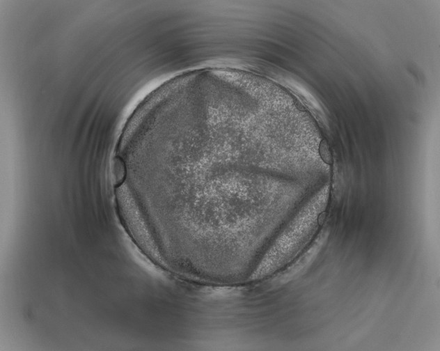 X0000113310808200910051103