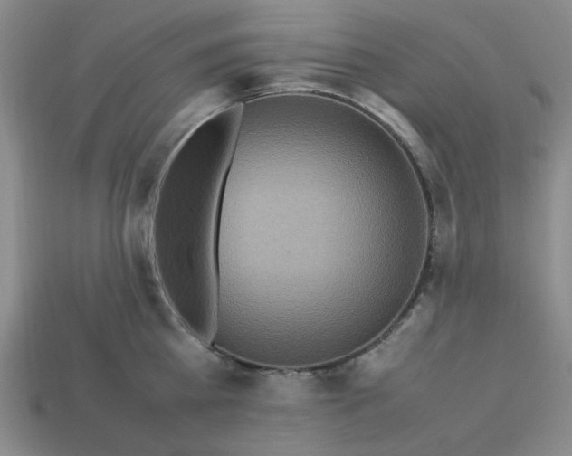 X0000113310809200910051103