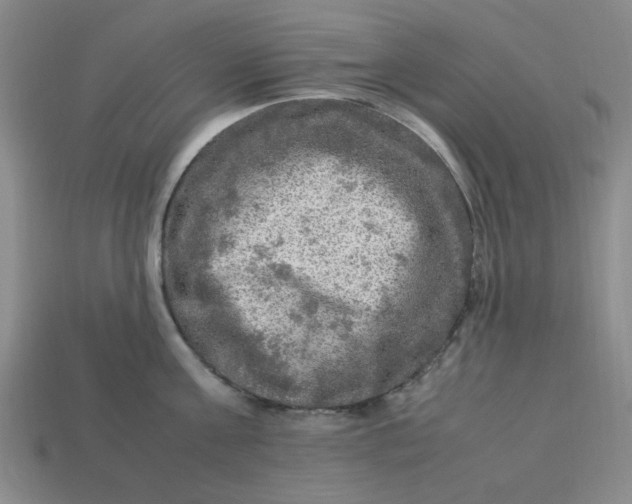 X0000113310811200910051103