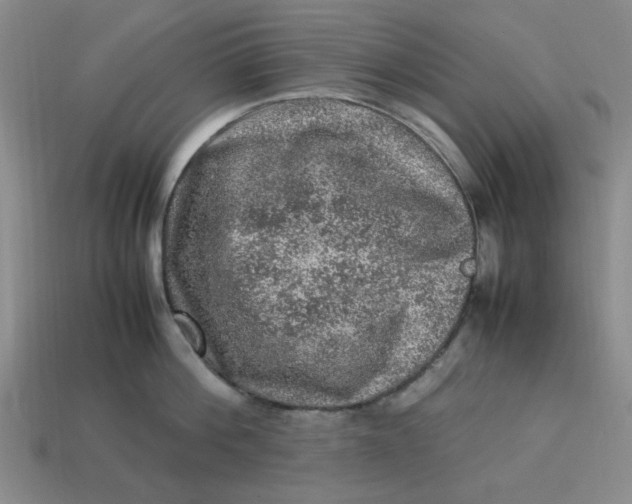 X0000113310812200910051103