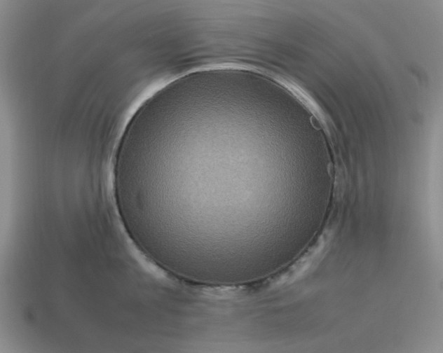 X0000113310813200910051103