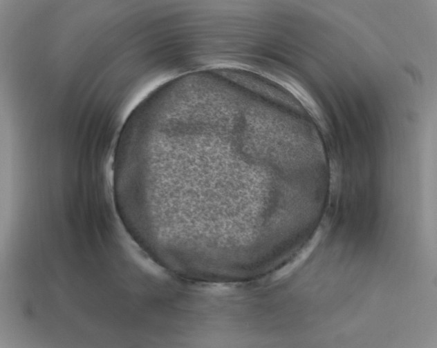 X0000113310814200910051103