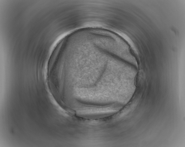 X0000113310815200910051103