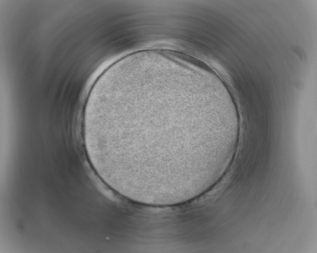 X0000113310816200910051103