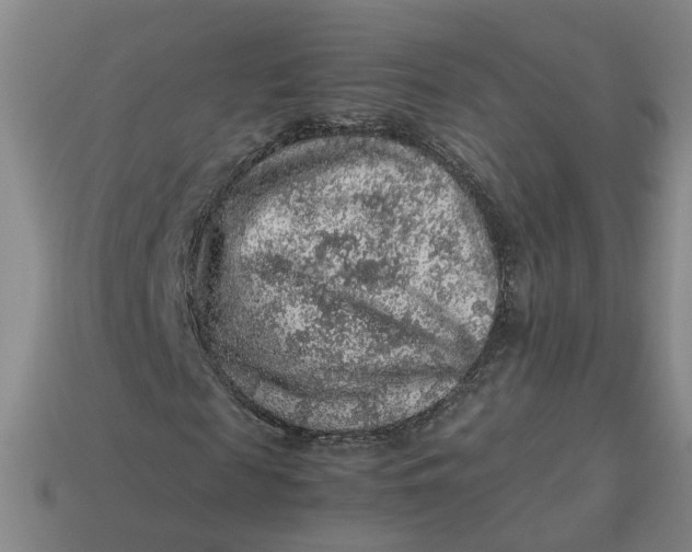 X0000113310817200910051102