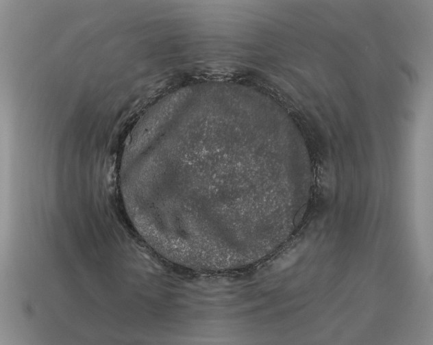 X0000113310818200910051102