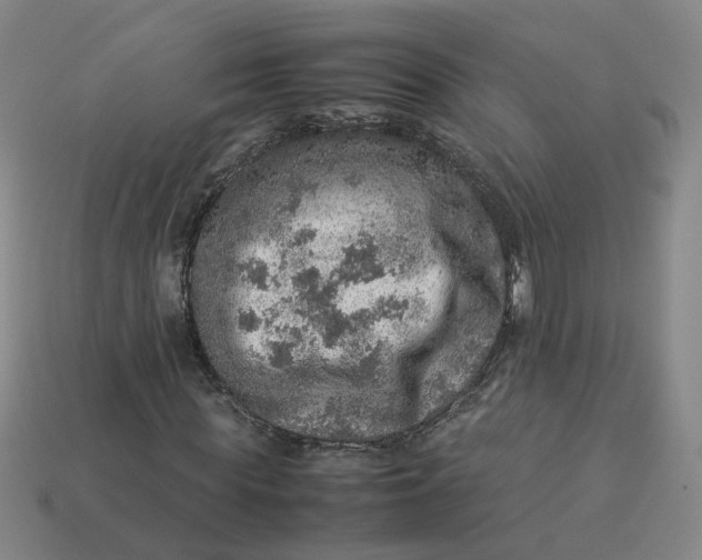 X0000113310819200910051102