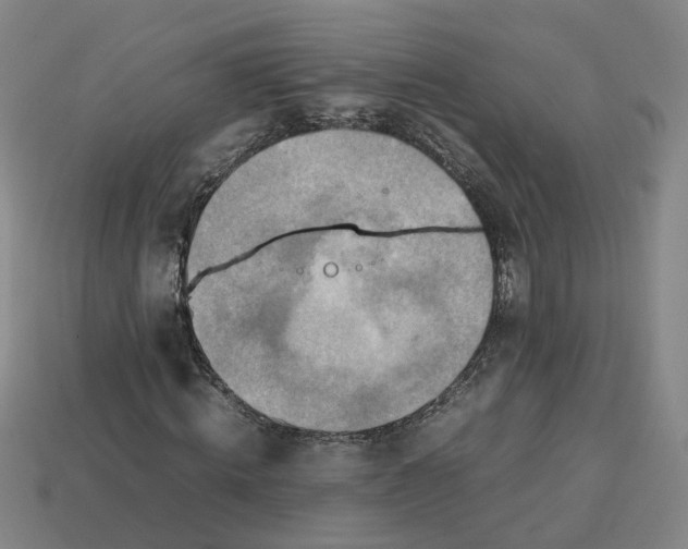 X0000113310820200910051102