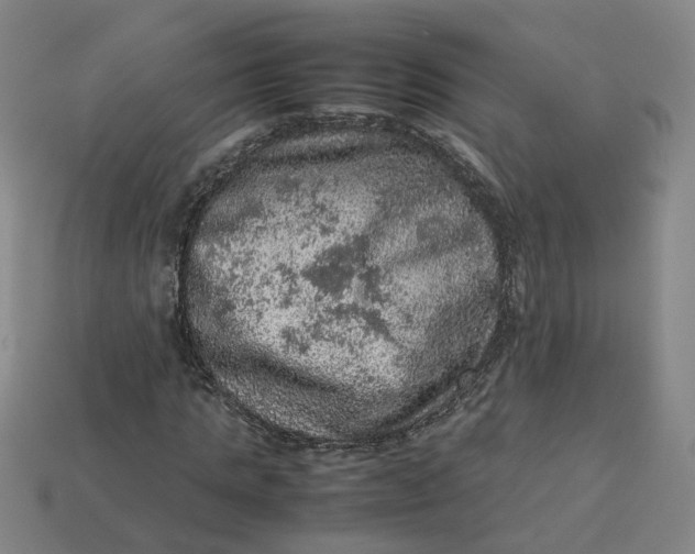 X0000113310821200910051102