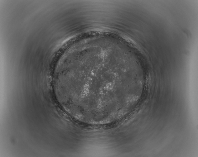 X0000113310822200910051102