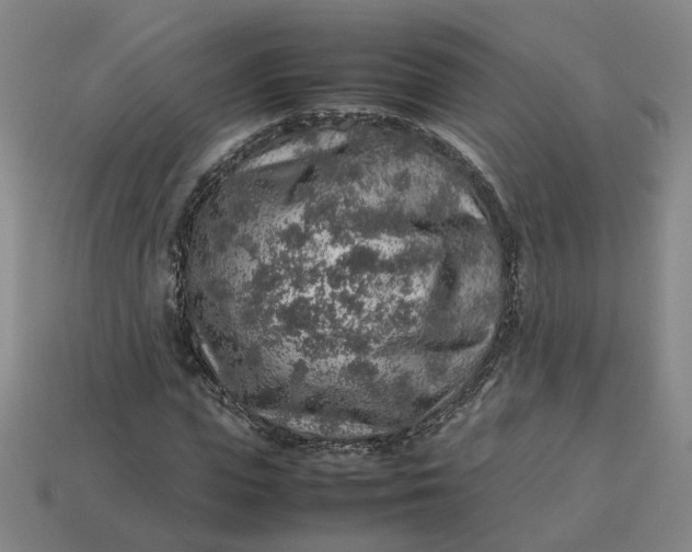 X0000113310823200910051102