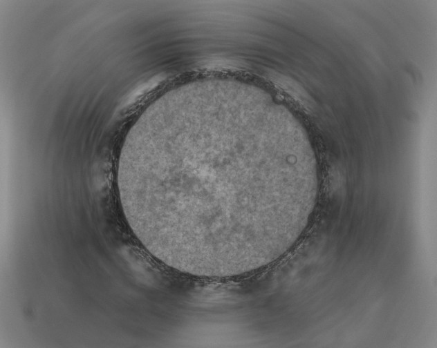 X0000113310824200910051102