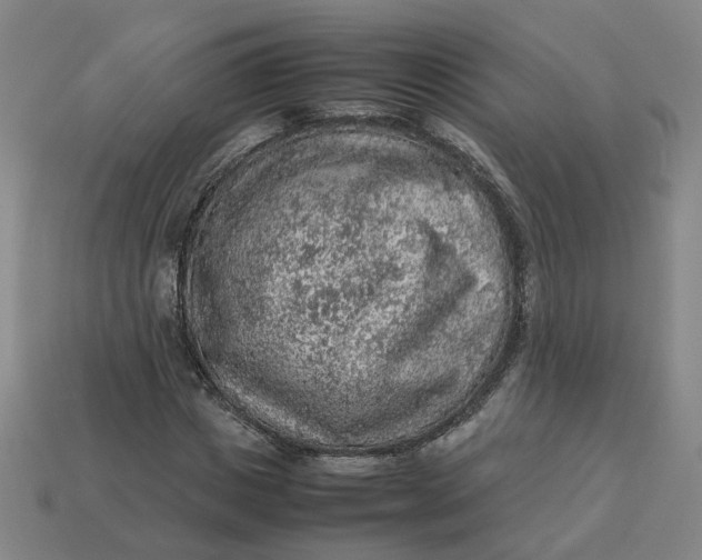 X0000113310825200910051102