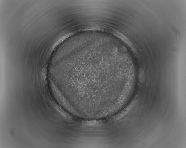 X0000113310826200910051102