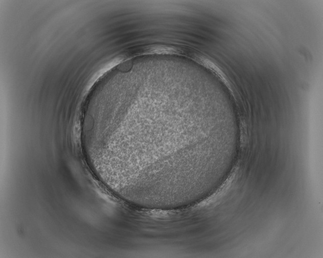 X0000113310827200910051102