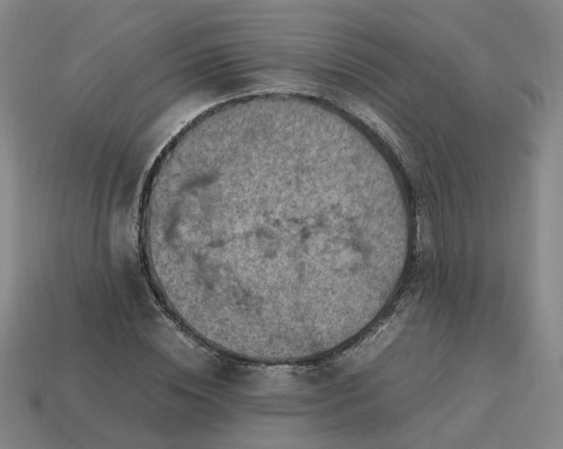 X0000113310828200910051102