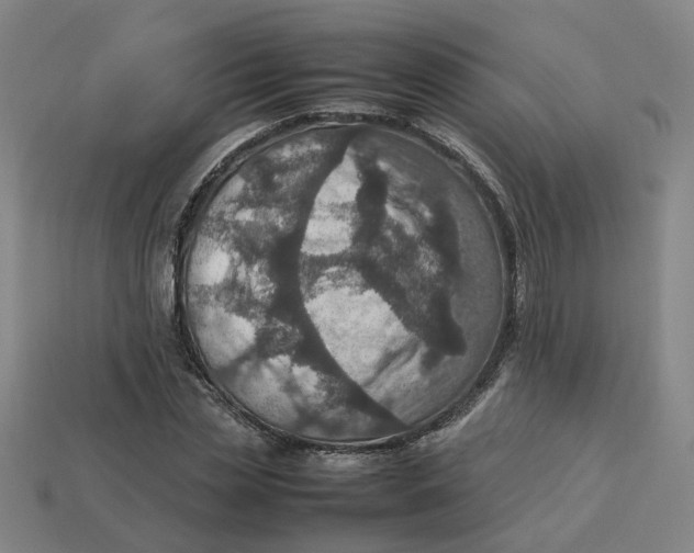 X0000113310829200910051102