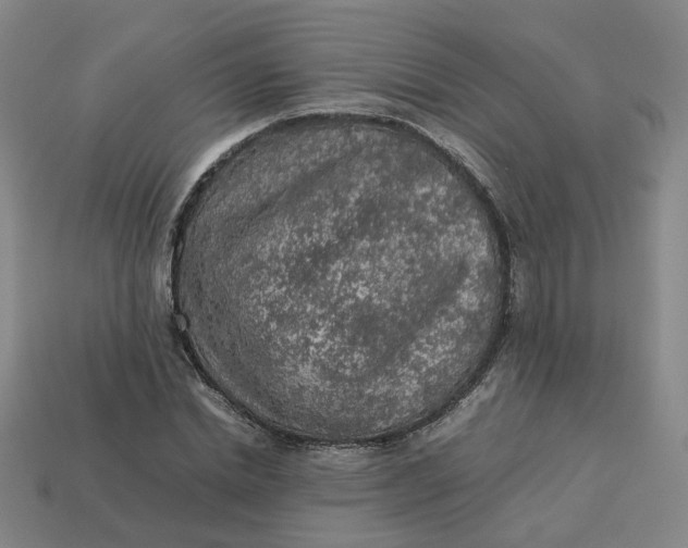 X0000113310830200910051102