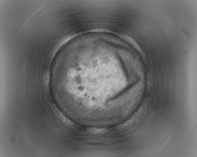 X0000113310831200910051102